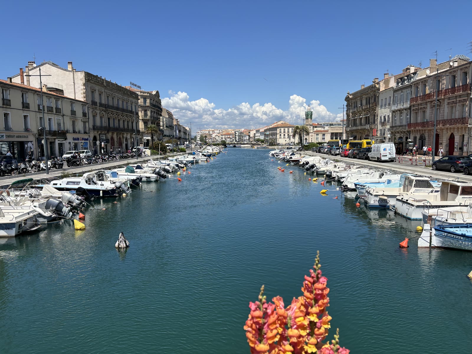 Les canaux de Sète